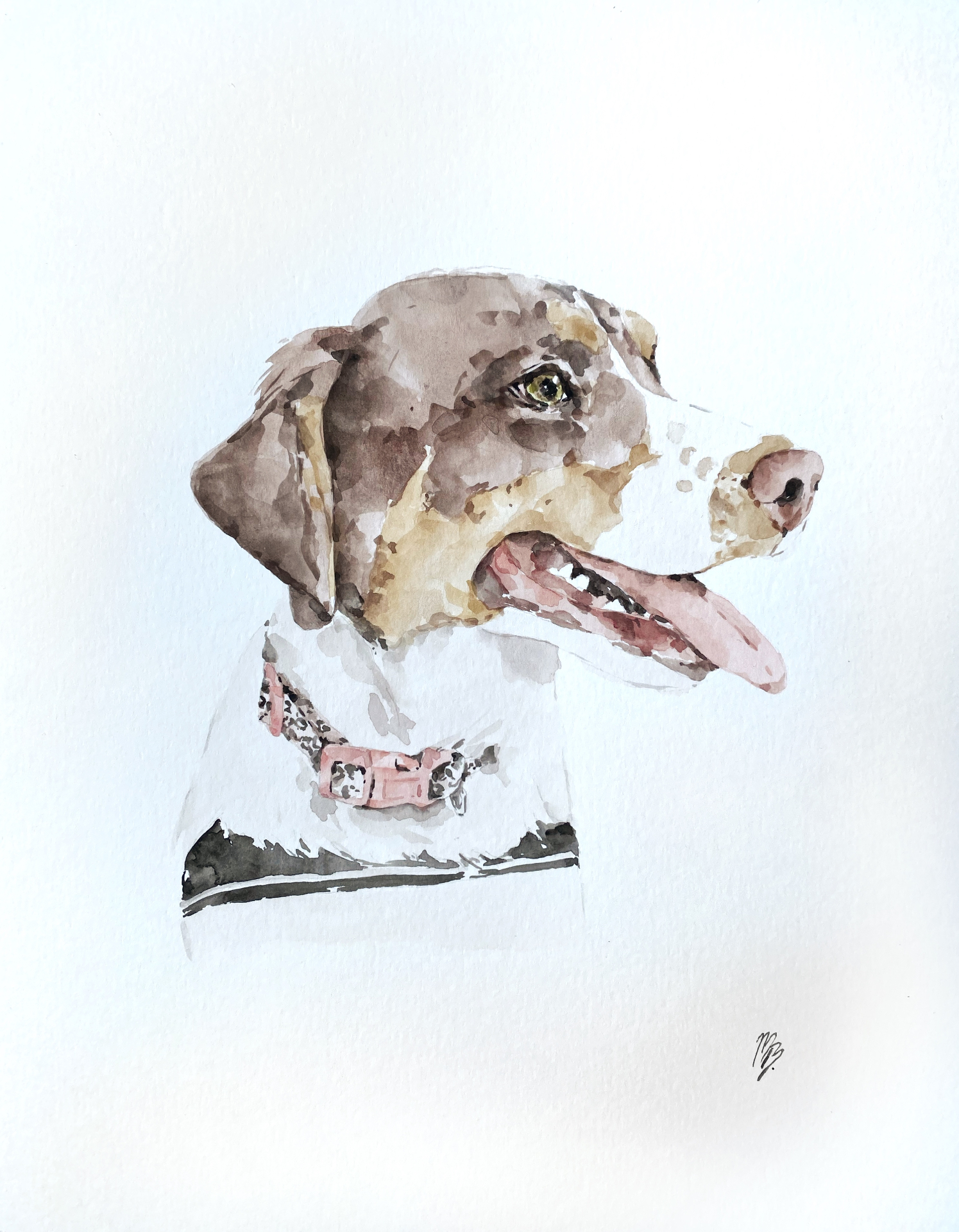 Mascotas II