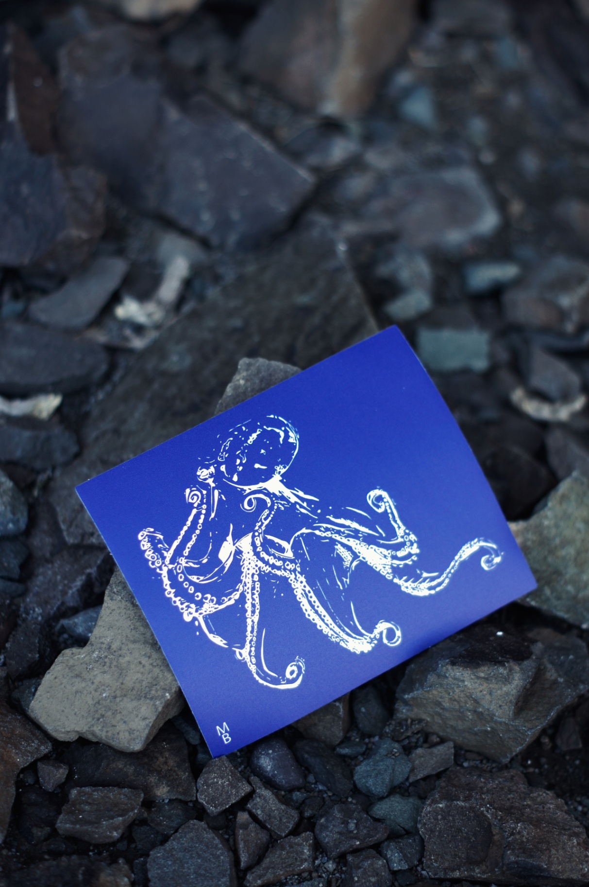 Gran Pulpo Block Azul
