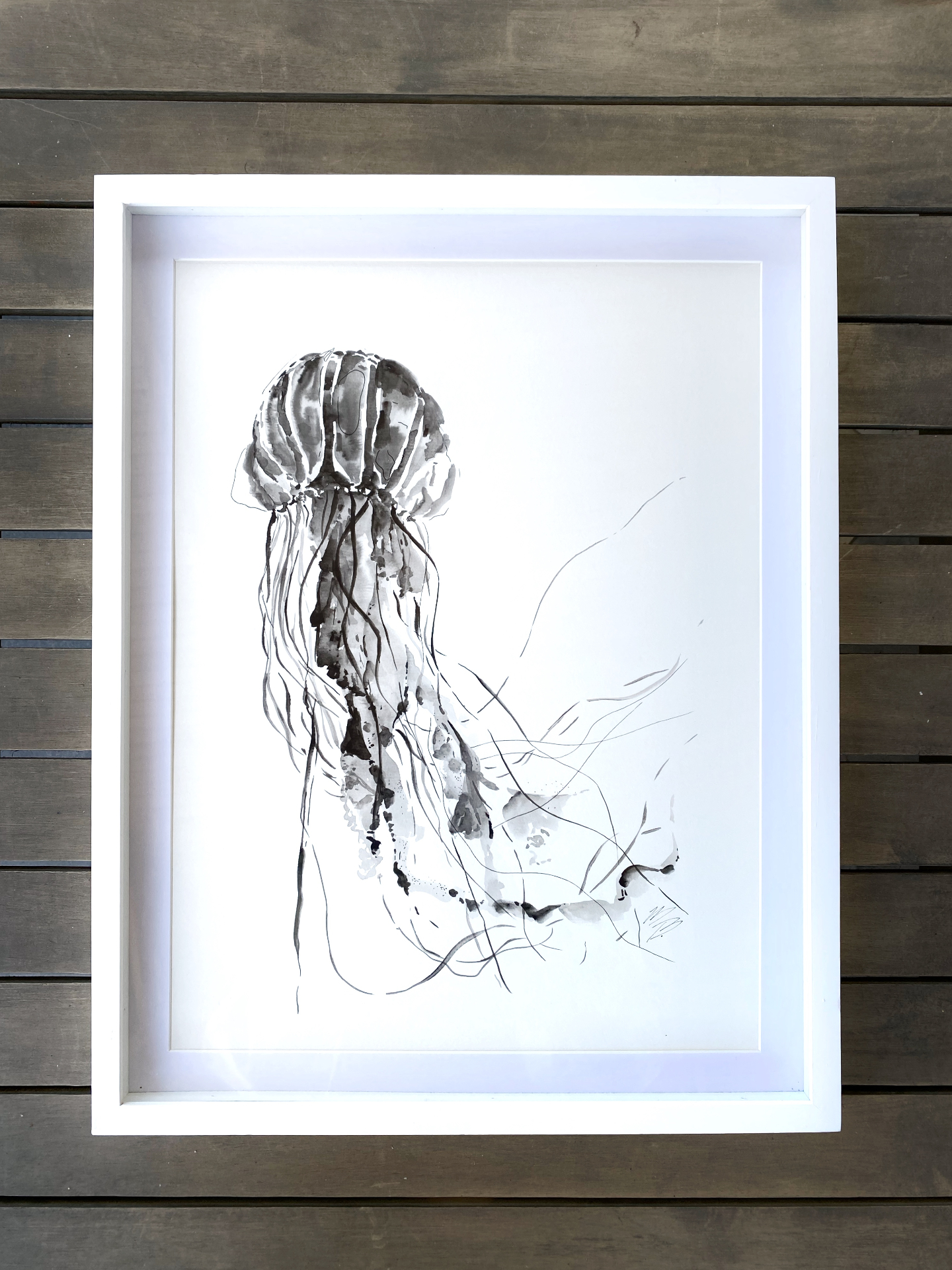 Medusa II