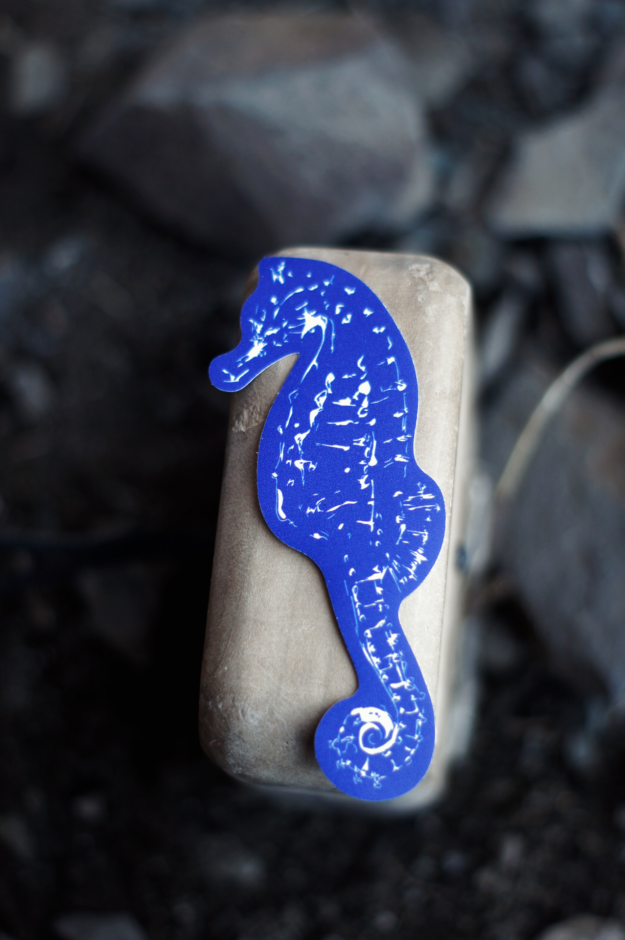 Caballito de Mar Azul