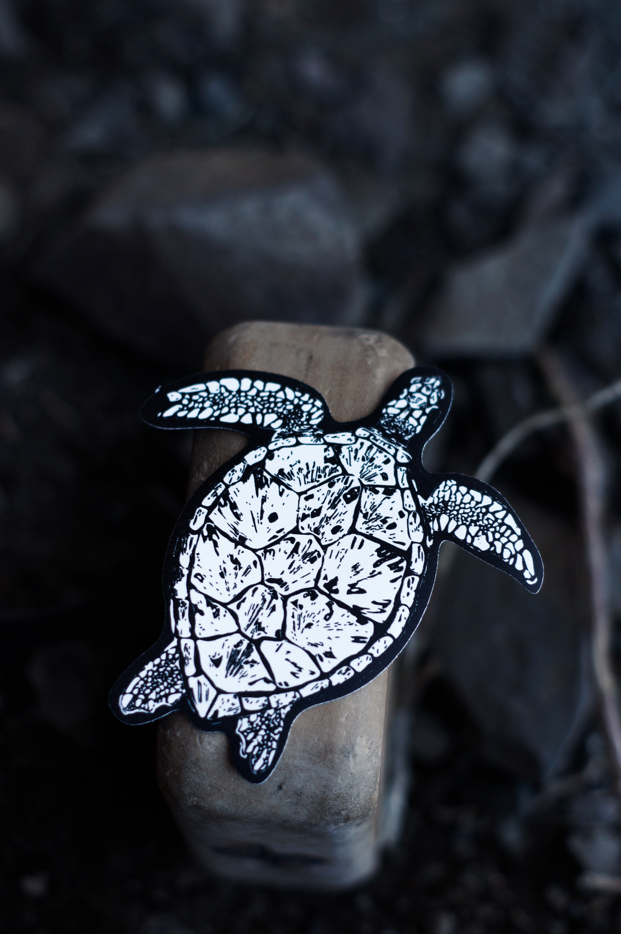 Tortuga Negro