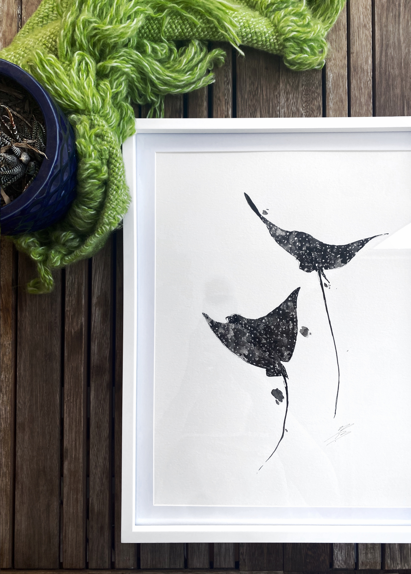 Mantarayas