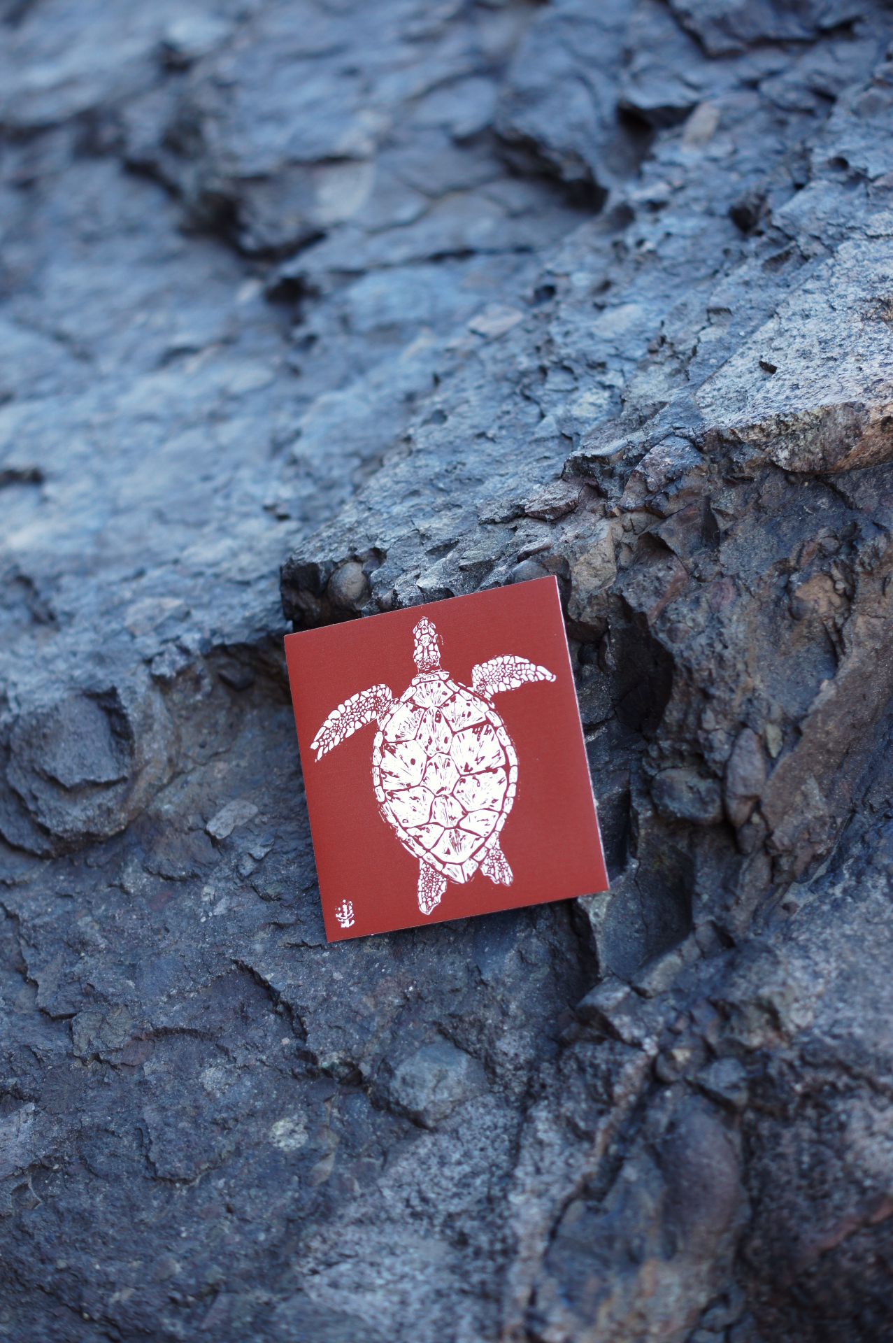 Tortuga Block Rojo
