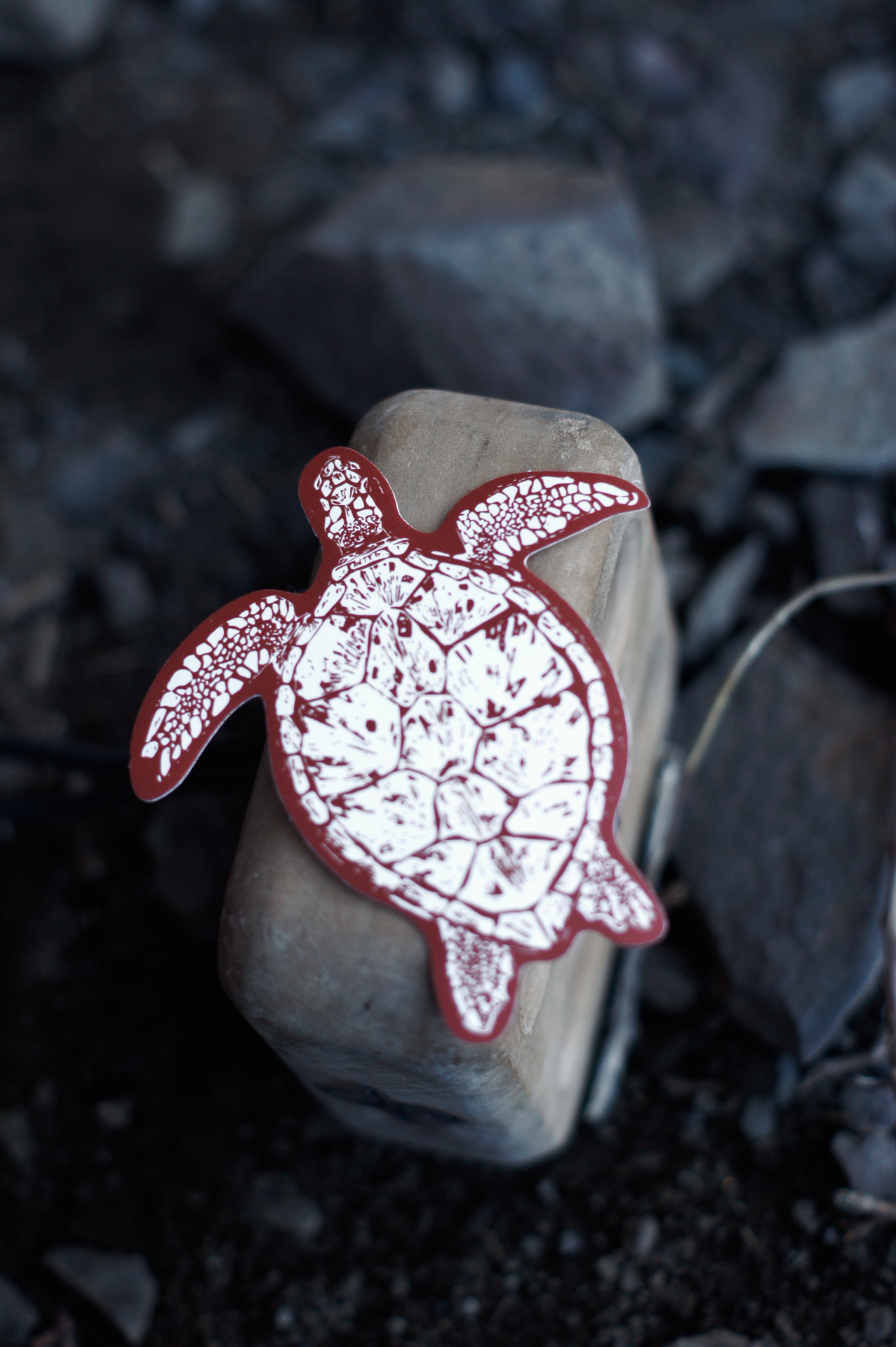 Tortuga Rojo